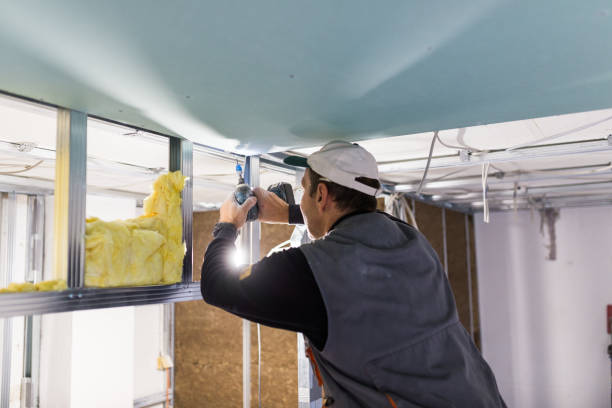 Best Insulation Maintenance and Repair in South Jacksonvle, IL