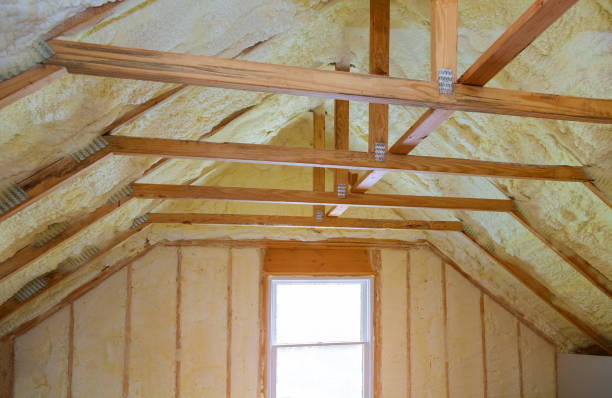 Best Blown-in Insulation in South Jacksonvle, IL