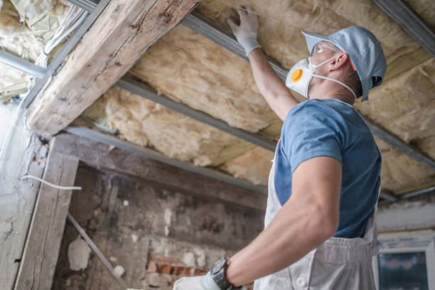 Best Spray Foam Insulation in South Jacksonvle, IL