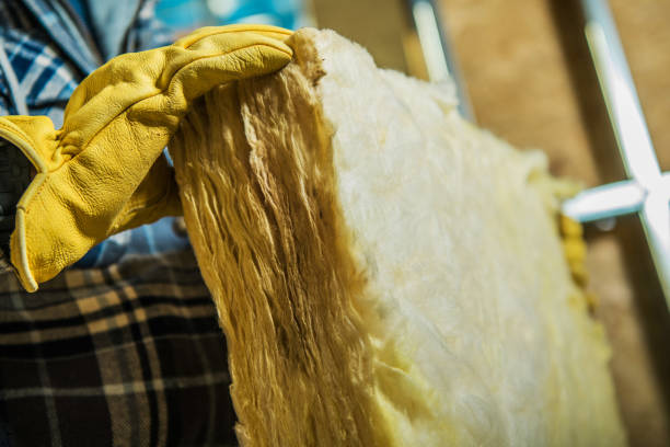 Best DIY Insulation Kits and Guidance in South Jacksonvle, IL