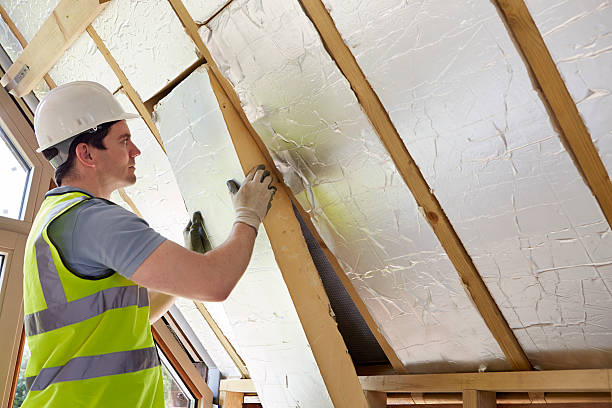 Best Eco-Friendly Insulation in South Jacksonvle, IL