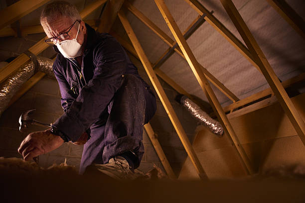Types of Insulation We Offer in South Jacksonville, IL