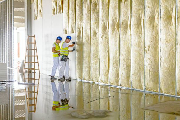 Types of Insulation We Offer in South Jacksonville, IL
